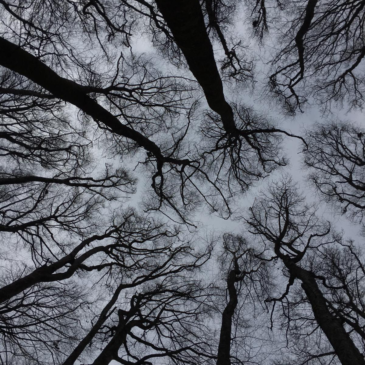 Promenade aux Grottes
