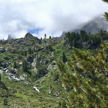 Balades | Vallon de Réchy