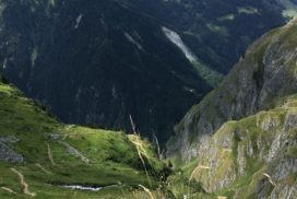 Un coup d'oeil vers la vallée (2019)