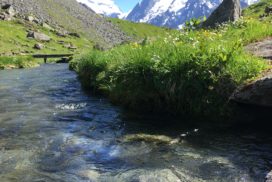 La rivière en aval du lac et le Combin en face (en 2020)