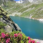 Lac de Louvie (2020)