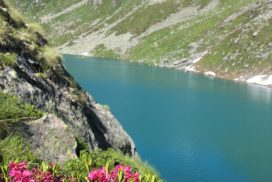 Lac de Louvie (2020)