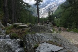 Le sentier du bisse