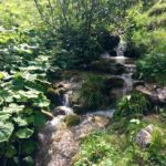 Petit cours d'eau dans la deuxième partie de la boucle