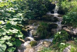 Petit cours d'eau dans la deuxième partie de la boucle