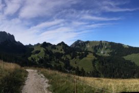 Panorama depuis côté Jaun (sommet du téléphérique)