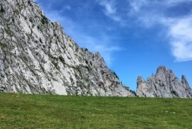 Parfait pour un fond d'écran Windows!