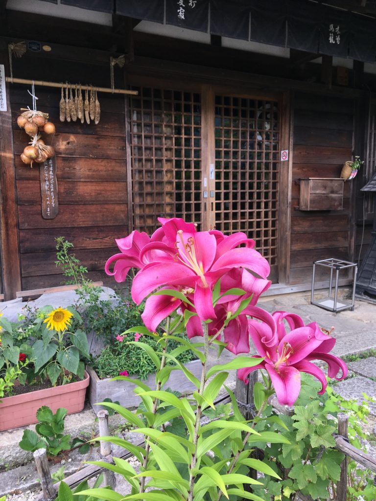 A Magome