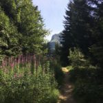 Un sentier bien fleuri