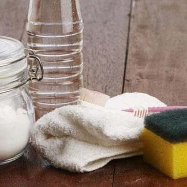 Produits ménagers “fait maison”