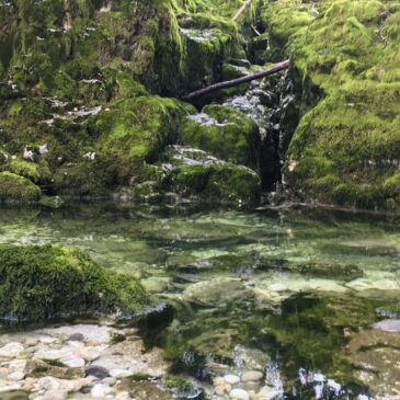 Sources de la Venoge à L&rsquo;Isle