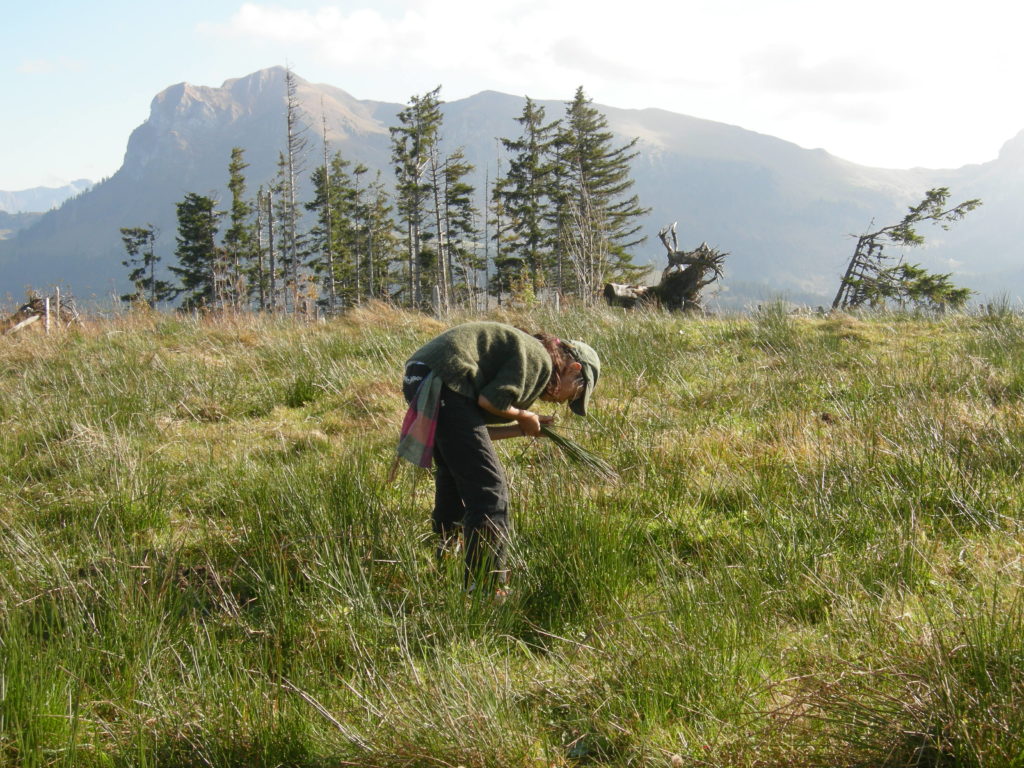 Alpettes