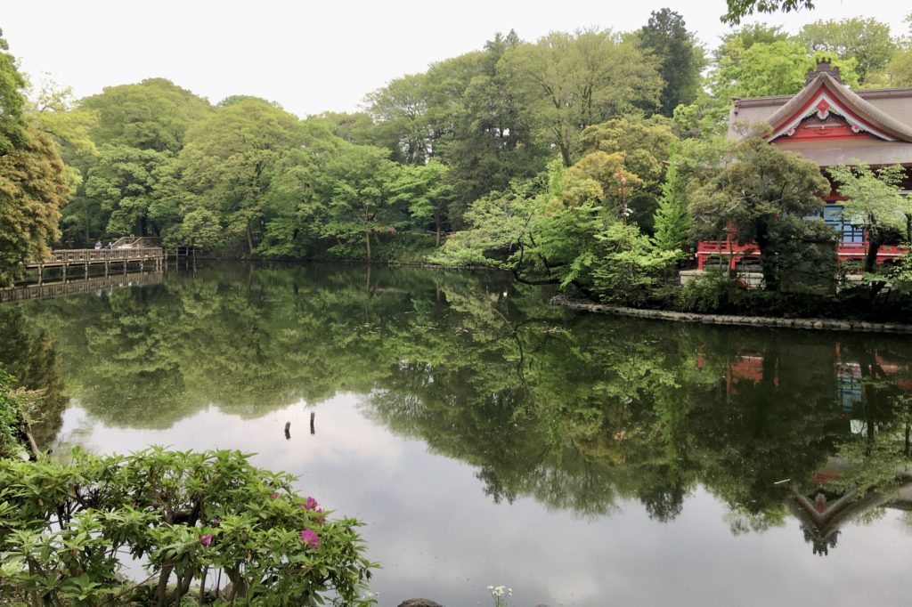 L'étang du parc Inokashira
