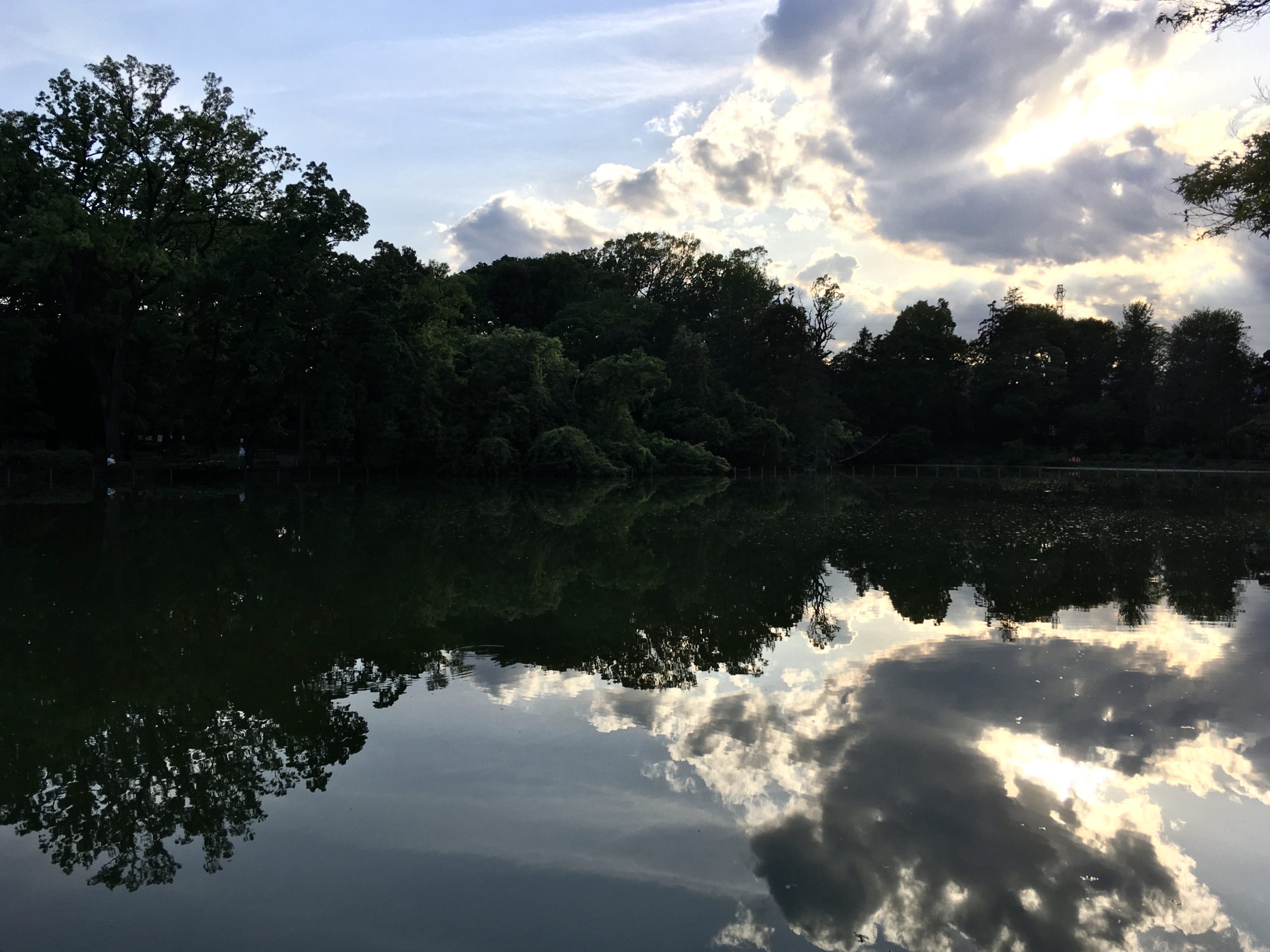 Arrivée au parc de Zenpukuji