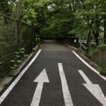 La piste cyclable 253
