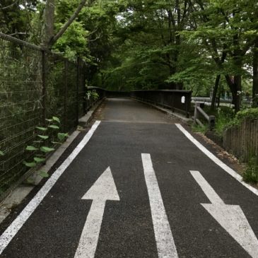 6e tour à vélo: jusqu’au lac Sayama en passant par Tamagawa