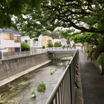 Shimokitazawa