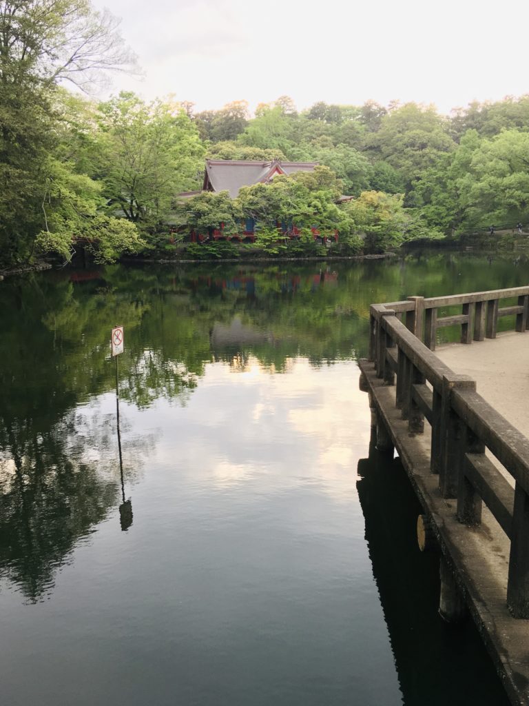L'étang du parc Inokashira