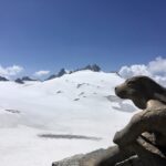 Depuis la terrasse de la cabane du Trient, vue sur le plateau du Trient
