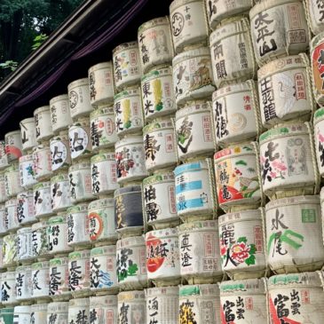 24 Nakai – Shinjuku – Shibuya – Yoyogikoen – Meijijingu – Gare de Yoyogi