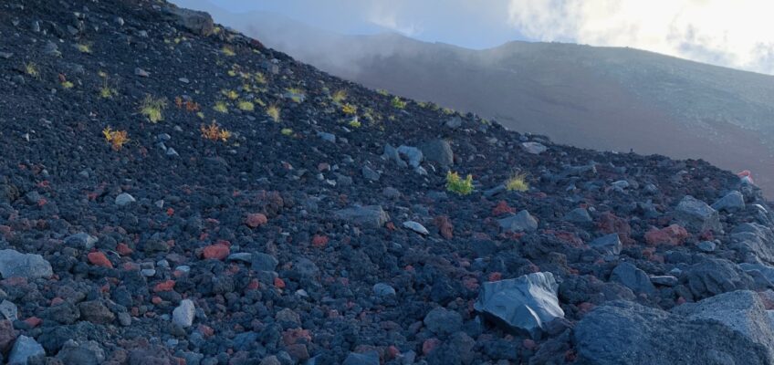 Rochers de couleurs différentes datent d'éruptions différentes
