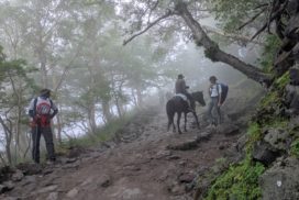 En montant certaines personnes font un bout à cheval