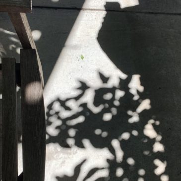 Brown rice Tokyo Omotesando & Meikyoku Lion’s Kissa