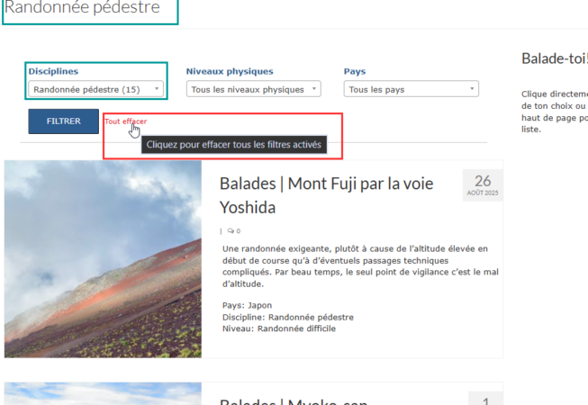 Si on utilise le filtre, on voit le filtre activé sur la page d'archive filtrée