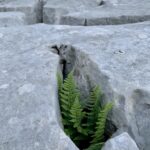 Mise en perspective dans le lapiaz