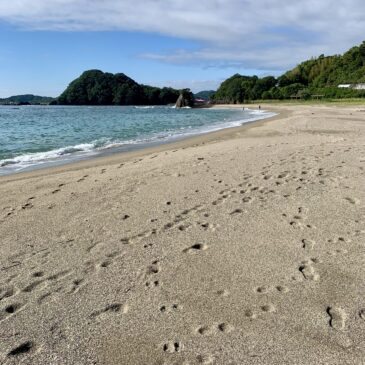 30 Ōzunahama – Tokushima [Tokushima]